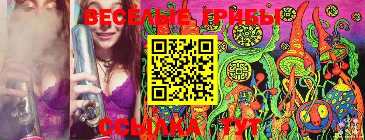 Псилоцибиновые грибы Magic Shrooms Новоалтайск