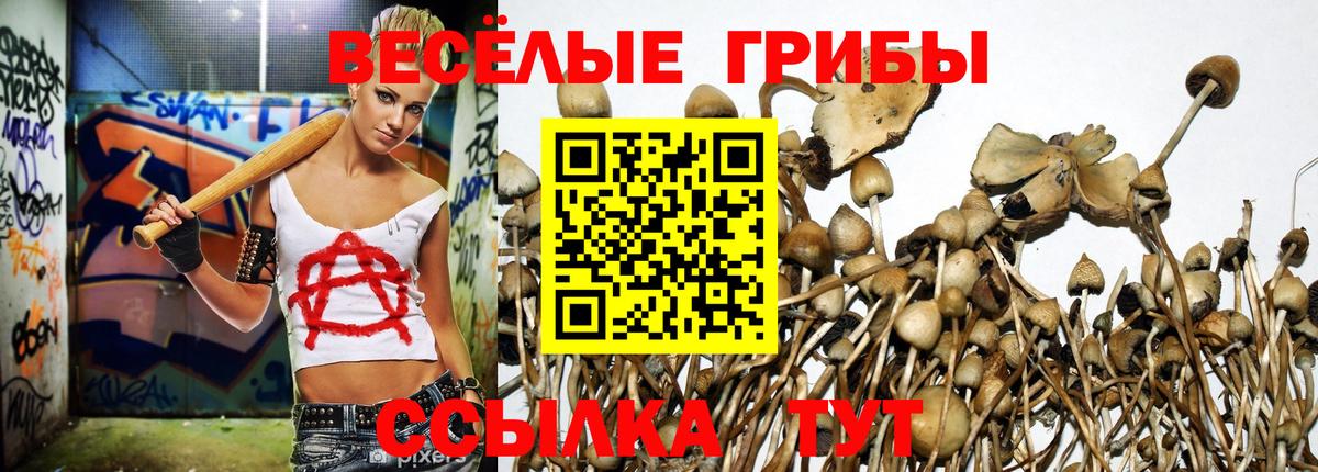 Новоалтайск  Псилоцибиновые грибы MAGIC MUSHROOMS  Вход с VPN 